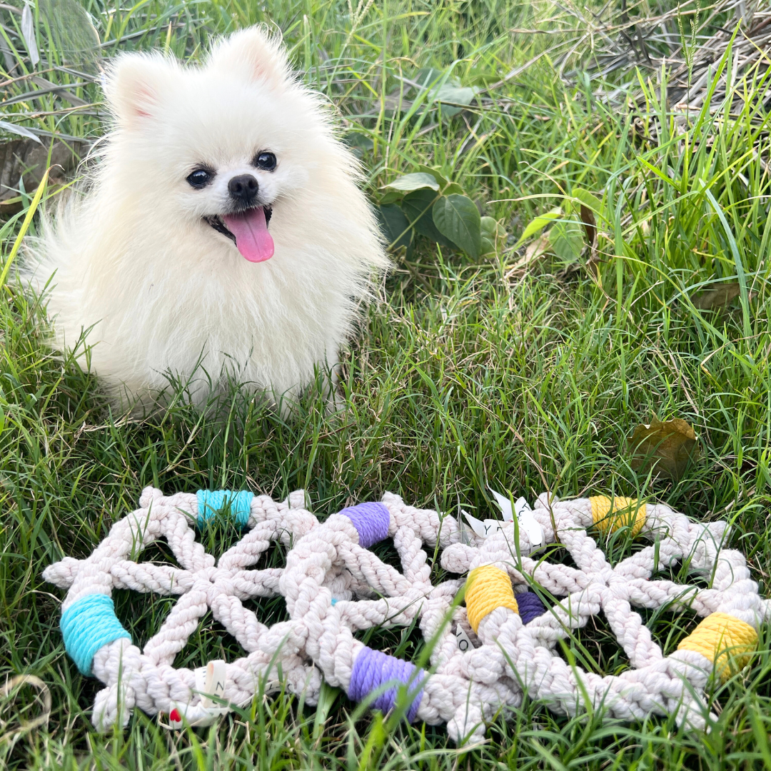 Color wheel Macrame Rope Pet Toy-2